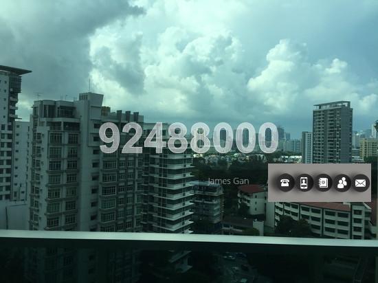 Soleil @ Sinaran (D11), Condominium #131186502
